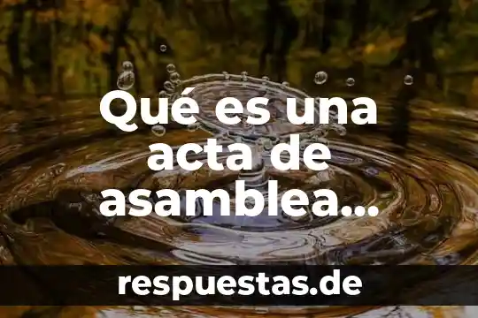 Definicion sobre que es una asamblea nacional constituyente 8 Qu茅 es una acta de asamblea general extraordinaria