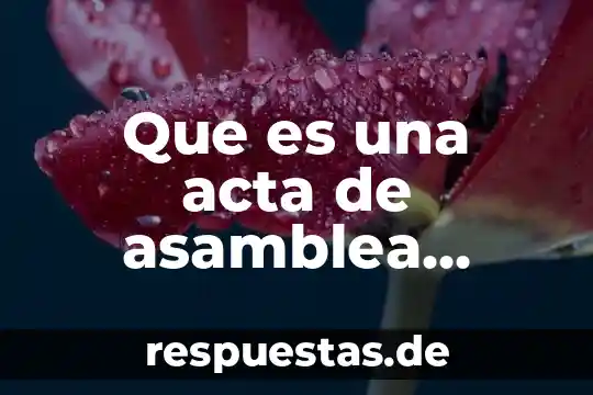Definicion sobre que es una asamblea nacional constituyente 5 Que es una acta de asamblea general ordinaria de accionistas