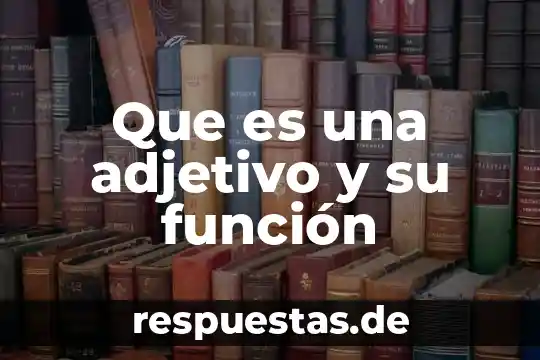 Que es derecho adjetivo subjetivo y objetivo 3 Que es una adjetivo y su función