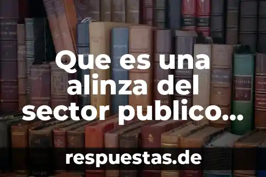 Que es sistema operativo privado concepto 3 Que es una alinza del sector publico privado