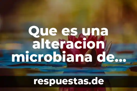 Que es la alteracion de la identidad y el producto 6 Que es una alteracion microbiana de los alimentos doyle