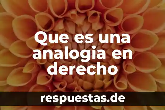 Que es la analogia del ser 3 Que es una analogia en derecho