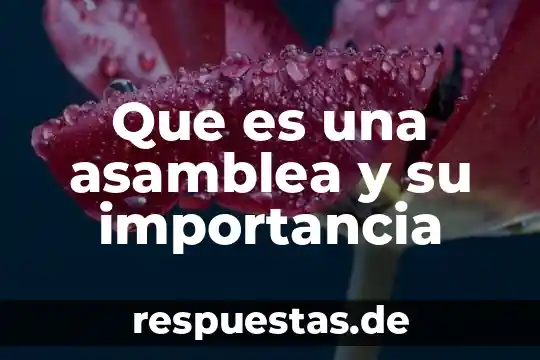 Definicion sobre que es una asamblea nacional constituyente 7 Que es una asamblea y su importancia