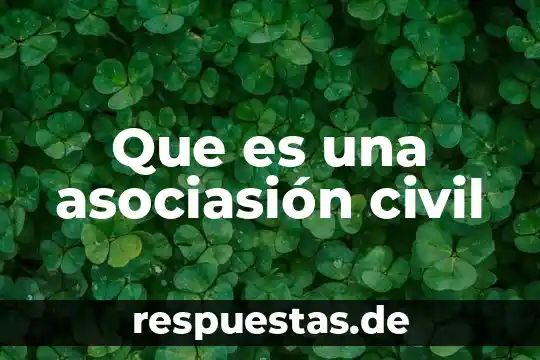 Legislación civil que es 4 Que es una asociasión civil