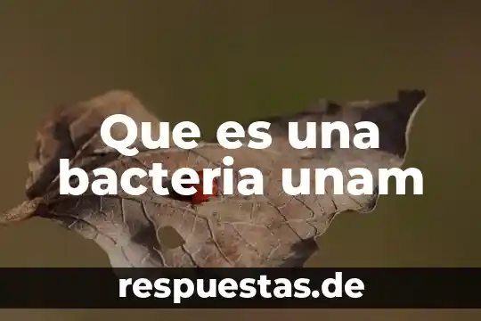 Que es una bacteria unam