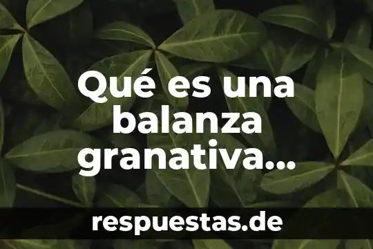 Qué es una balanza granativa conceptos