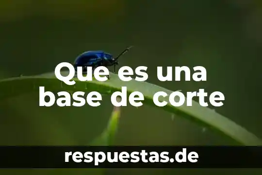 Que es concepto en base de datos 6 Que es una base de corte