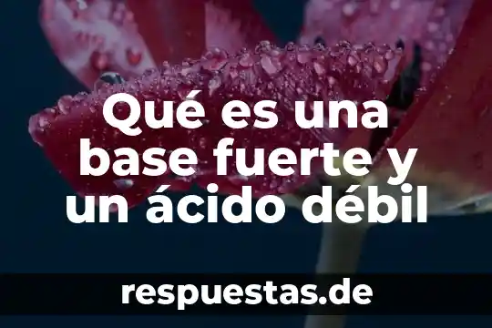 Animal que es más fuerte 4 Qué es una base fuerte y un ácido débil