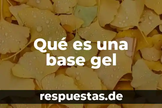 Qué es gel vpn en economía 4 Qué es una base gel