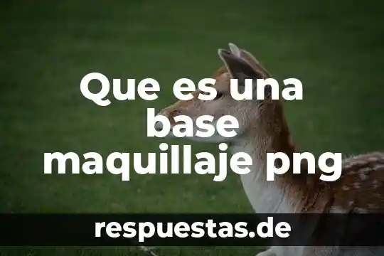 Grupo gopemex que es 4 Que es una base maquillaje png