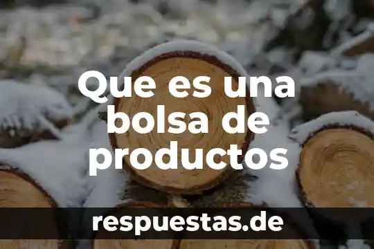 Que es son los productos informativos 3 Que es una bolsa de productos