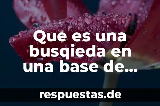 Que es concepto en base de datos 4 Que es una busqieda en una base de datos