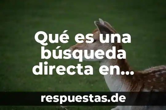 Qué es una búsqueda directa en informática