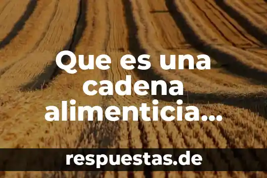 Que es sedentarismo concepto 6 Que es una cadena alimenticia concepto corto