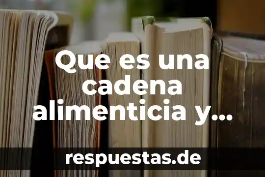 Que es trazabilidad guia nacional de cadena de custodia 6 Que es una cadena alimenticia y quienes la integran