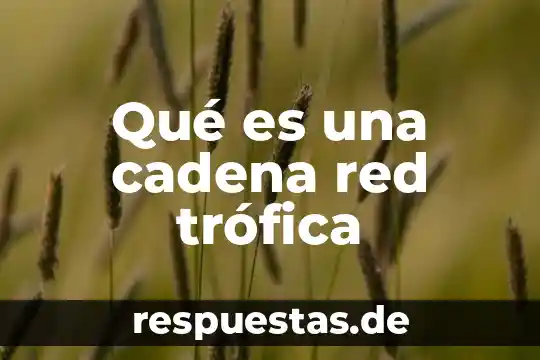 Que es trazabilidad guia nacional de cadena de custodia 8 Qué es una cadena red trófica