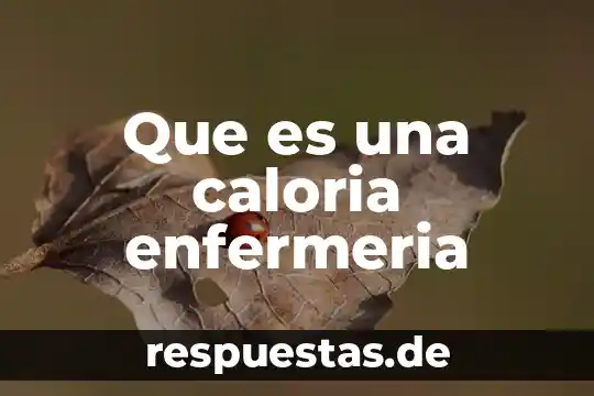 Que es teorista de enfermeria 5 Que es una caloria enfermeria