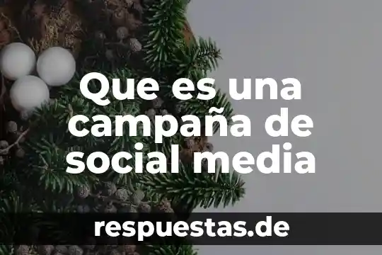 Qué es razón social o número 7 Que es una campaña de social media