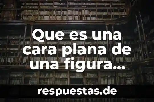 Que es el perimetro de una figura geometrica plana 3 Que es una cara plana de una figura geometrica