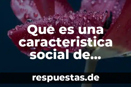 Que es una realidad social sobre una problematica 3 Que es una caracteristica social de veracruz