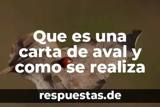 Qué es la carta apostólica 6 Que es una carta de aval y como se realiza