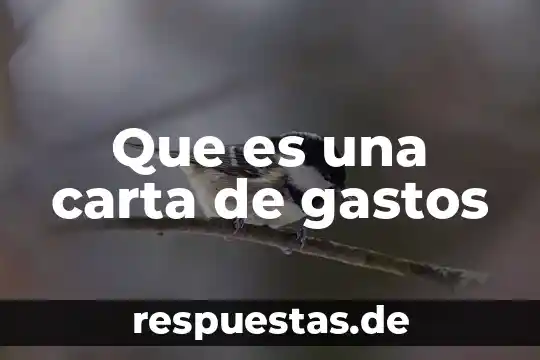 Que es una carta de windows significado 3 Que es una carta de gastos