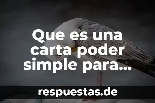 Que es una carta de windows significado 8 Que es una carta poder simple para emplacar carros