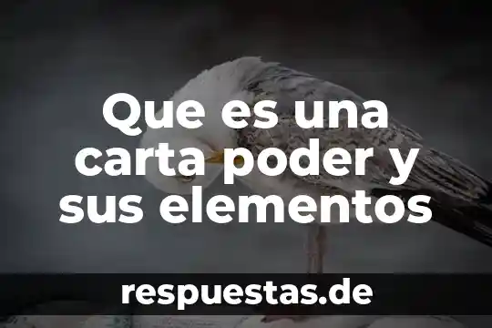 Qué es un reportaje definición tipos de elementos 5 Que es una carta poder y sus elementos