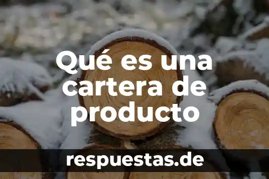 Que es un servicio y que es un producto 8 Qué es una cartera de producto