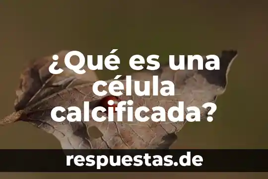 Que es un compartimiento de la celula 3 ¿Qué es una célula calcificada?