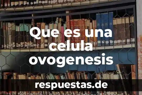 Qué es el nucleolo célula animal 5 Que es una celula ovogenesis