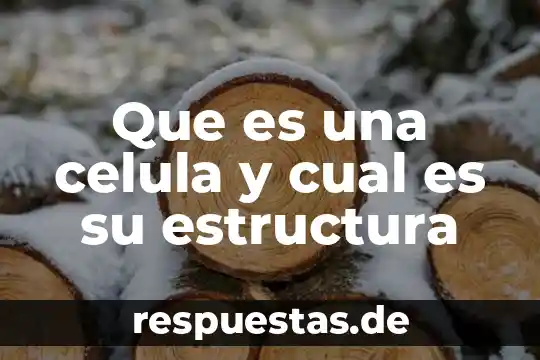 ¿Qué es la mitocondria de la célula animal? 6 Que es una celula y cual es su estructura