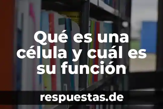 Que es una infografía celula animal vs vegetal 8 Qué es una célula y cuál es su función