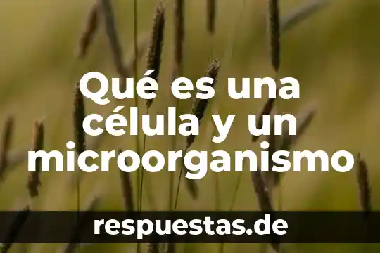 Que es un compartimiento de la celula 7 Qué es una célula y un microorganismo