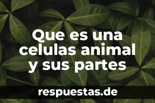Animal que es verde y vuela 3 Que es una celulas animal y sus partes