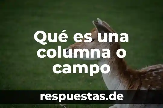 Que es un campo semantico y sus caracteristicas 5 Qué es una columna o campo