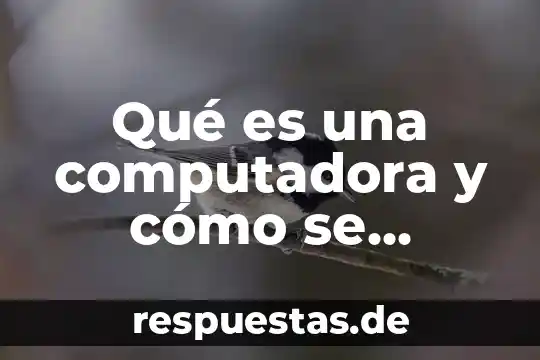 Qué es un icono en una computadora 6 Qué es una computadora y cómo se clasificación