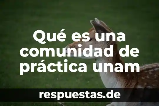 Qué es una comunidad polígama 7 Qué es una comunidad de práctica unam