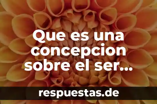 Que es concepcion de sociedad 4 Que es una concepcion sobre el ser humano