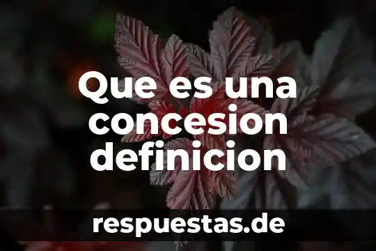 Qué es la meracdotecnia definición 7 Que es una concesion definicion