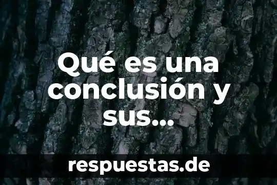 Qué es una conclusión y sus características ejemplos
