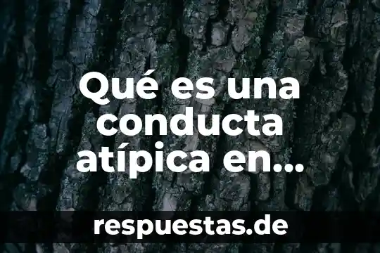 Que es exepcion de conetividad en derecho 3 Qué es una conducta atípica en derecho penal