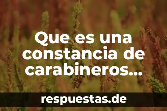 Qué es un arancel y cómo se aplica 3 Que es una constancia de carabineros aplica en monterrey