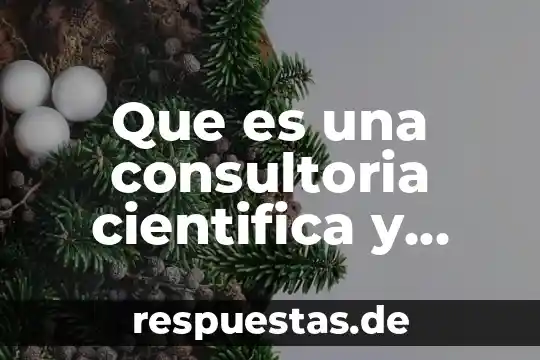 Que es una tecnica concepto de autores 7 Que es una consultoria cientifica y tecnica