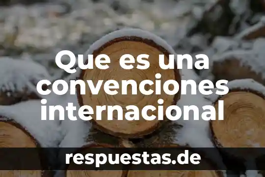 Que es vaguedad internacional extencional 5 Que es una convenciones internacional