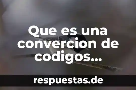 Que es la estética y la importancia como disciplina filosofica 4 Que es una convercion de codigos numericos