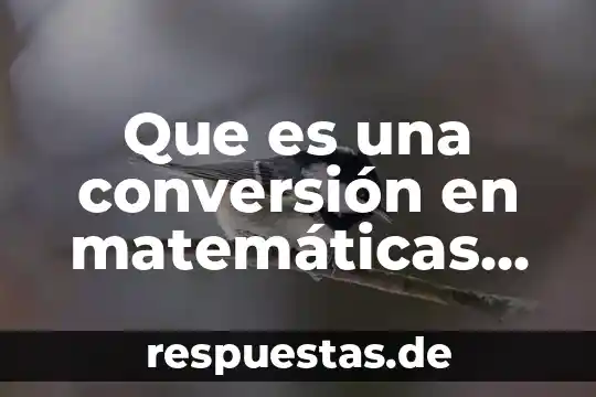 Que es una conversión en matemáticas cococo