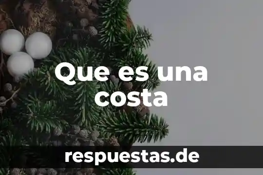 Que es una costa