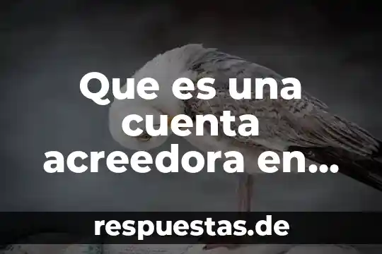 Que es una cuenta sincronizada 6 Que es una cuenta acreedora en contabilidad