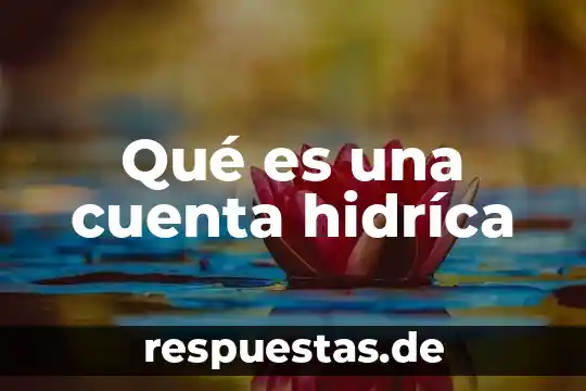 Que es una cuenta abierta en finanzas 5 Qué es una cuenta hidríca